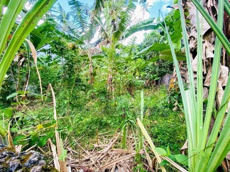 (AFA725) 20 P Bare Land Sale At Uthuwankanda Road Thalawathugoda