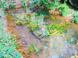 (AFA717) Land for sale in Eheliyagoda