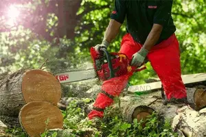 "NEWTOP" Chain Saw (58CC/ 22" Guide Bar)