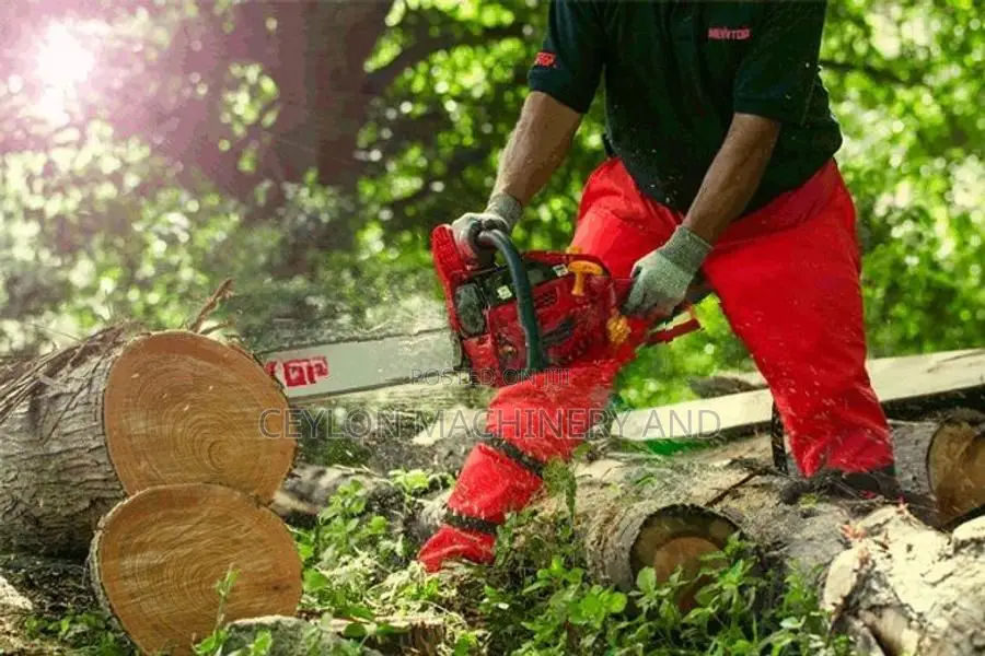 "NEWTOP" Chain Saw (58CC/ 22" Guide Bar)