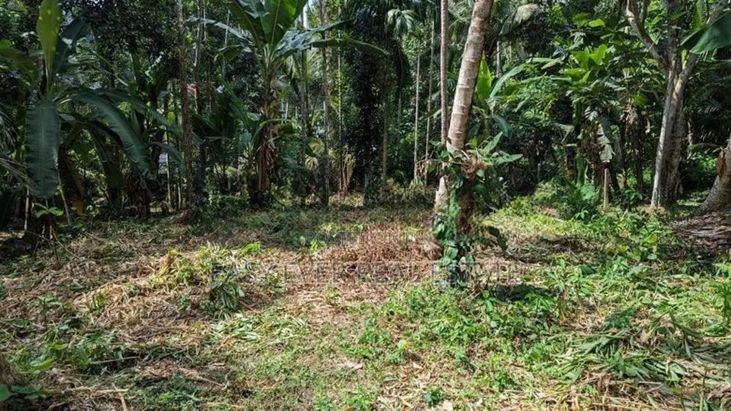 නිට්ටඹුව – මල්වත්ත කොන්ක්‍රීට් පාරට මුහුනලා පර්චස් 21.8