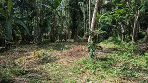 නිට්ටඹුව – මල්වත්ත කොන්ක්‍රීට් පාරට මුහුනලා පර්චස් 21.8