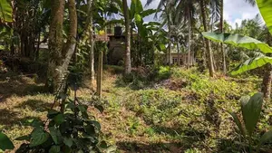 නිට්ටඹුව – මල්වත්ත කොන්ක්‍රීට් පාරට මුහුනලා පර්චස් 21.8