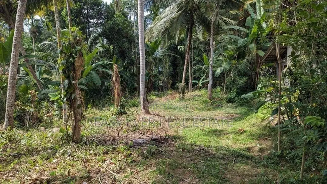 නිට්ටඹුව – මල්වත්ත කොන්ක්‍රීට් පාරට මුහුනලා පර්චස් 21.8