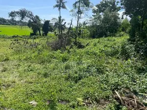 Malabe, Vihara Mawatha 11.27 Perches Land For sale