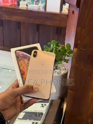 Apple iPhone XS Max 256GB (Used)