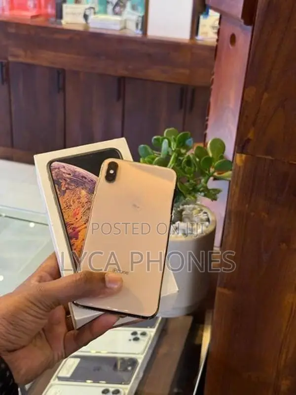 Apple iPhone XS Max 256GB (Used)