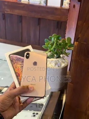 Apple iPhone XS Max 256GB (Used)