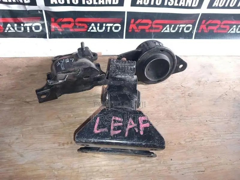 Nissan Leaf Mounts
