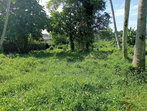 Mount Lavinia 25 Perches Land for sale