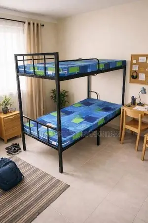 New Steel Bunk Bed with Double Layer Mattress