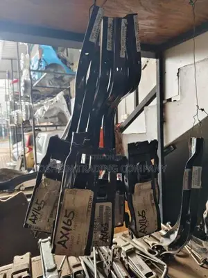 AXIO NKE165 DICKEY DOOR HINJERS