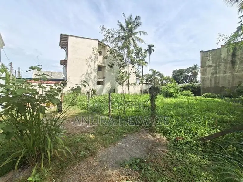 තලවතුගොඩ හෝකන්දර පාරේ පිහිටි ඉඩමක් විකිණීමට ඇත. (ID : THLW004S)