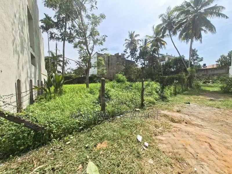 තලවතුගොඩ හෝකන්දර පාරේ පිහිටි ඉඩමක් විකිණීමට ඇත. (ID : THLW004S)