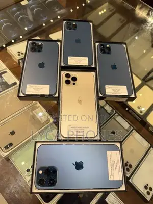 Apple iPhone 12 Pro Max 256GB (Used)