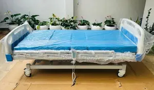 Four Function Electric Hospital Bed