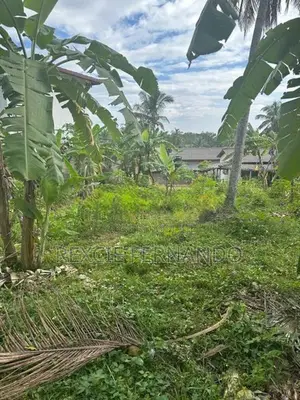Bare Land for Sale Nittambuwa