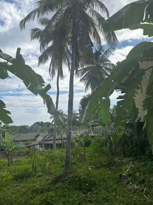 Bare Land for Sale Nittambuwa