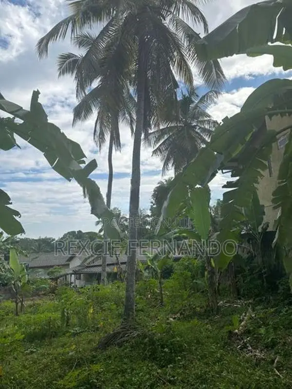Bare Land for Sale Nittambuwa