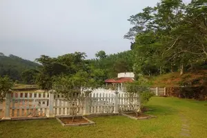 Ingiriya : 15 Acres Land for Sale