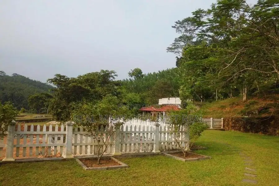 Ingiriya : 15 Acres Land for Sale