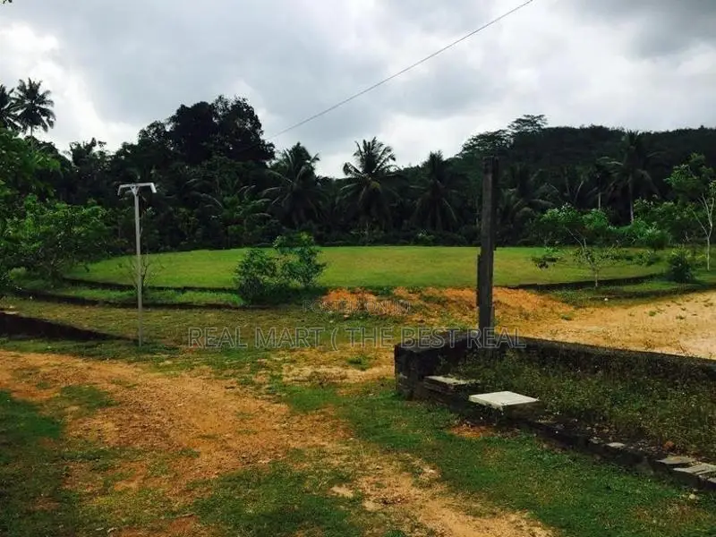 Ingiriya : 15 Acres Land for Sale