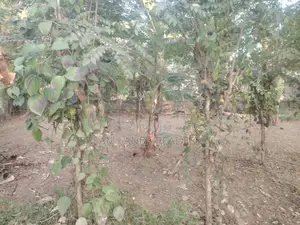 COMMERCIAL LAND FOR RENT IN BIYAGAMA (SP534)