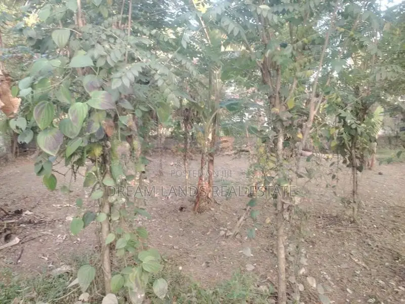COMMERCIAL LAND FOR RENT IN BIYAGAMA (SP534)