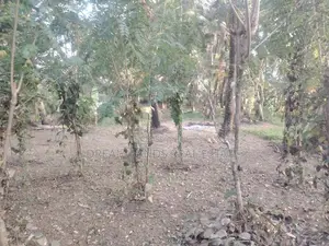 COMMERCIAL LAND FOR RENT IN BIYAGAMA (SP534)