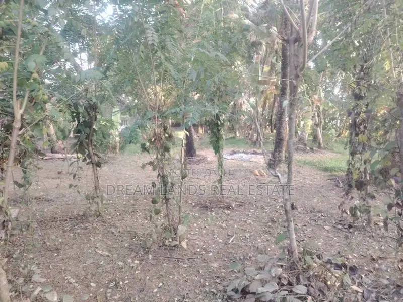 COMMERCIAL LAND FOR RENT IN BIYAGAMA (SP534)