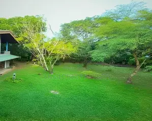 Land For Sale In Kohuwala