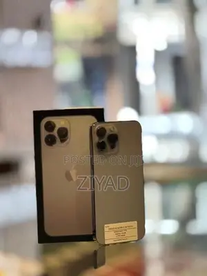 Apple iPhone 13 Pro 256GB (Used)