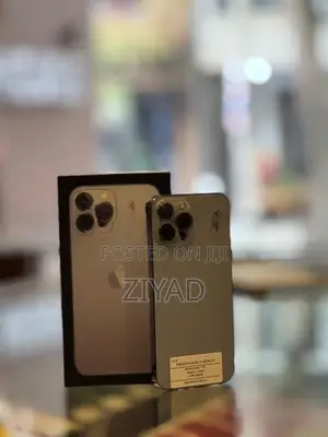 Apple iPhone 13 Pro 256GB (Used)