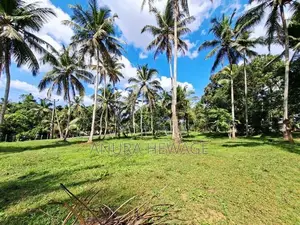 Land for Sale Horana, Handapangoda. (ID : HDPG001)