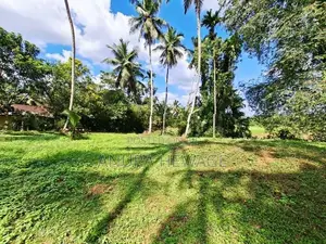 හොරණ, හඳපාන්ගොඩ පිහිටි ඉඩමක් විකිණීමට ඇත. (ID : HDPG001S)