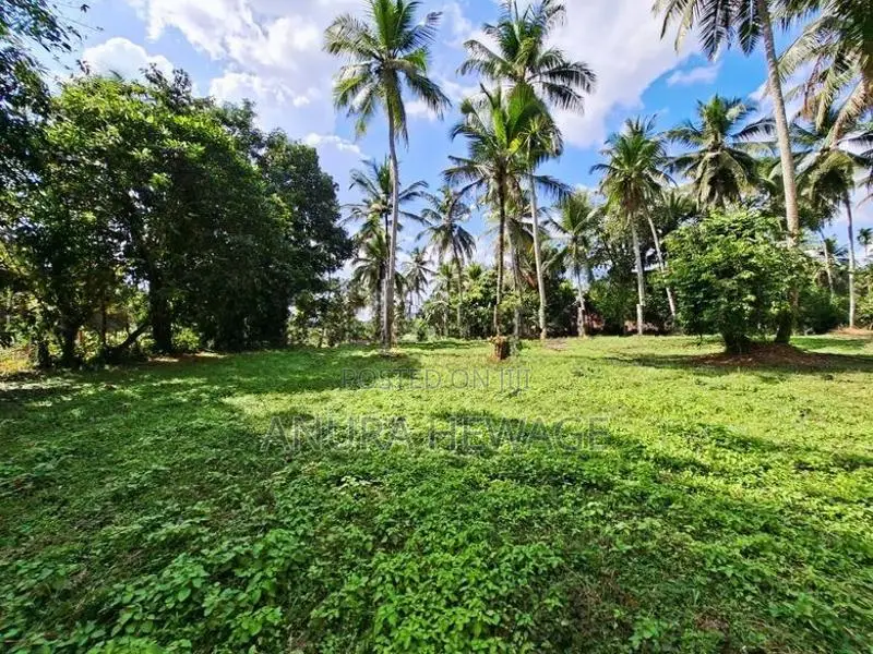 Land for Sale Horana, Handapangoda. (ID : HDPG001)