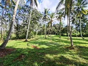 Land for Sale Horana, Handapangoda. (ID : HDPG001)