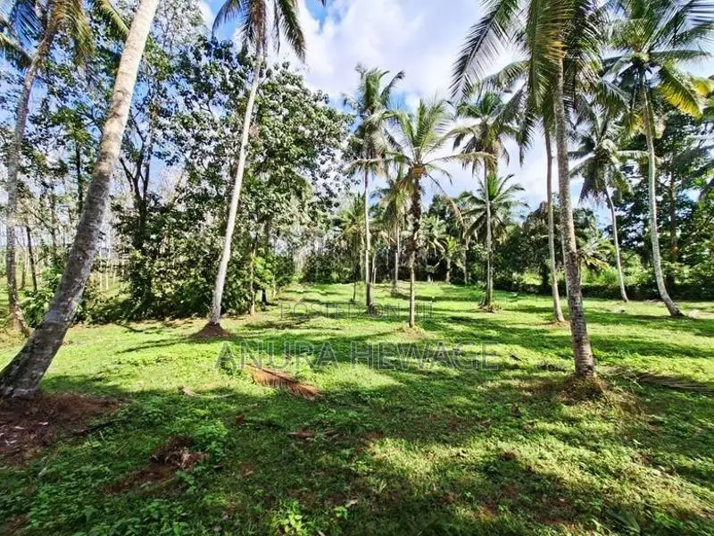 Land for Sale Horana, Handapangoda. (ID : HDPG001)