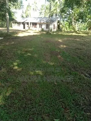 Land for Sale Horana, Handapangoda. (ID : HDPG001)