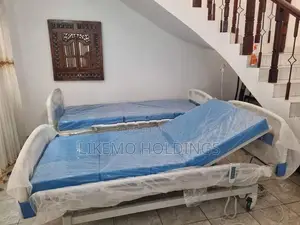 Patient Four Function Electric Hospital Bed