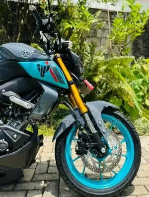 Yamaha MT 15 Gray 2025