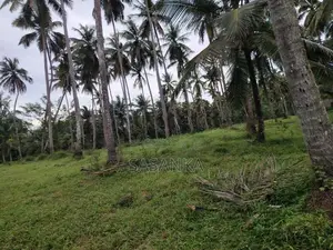 නුවර පාරට ආසන්යේ . (අත්තනගල්ල) අක්කර 35 සුපරි ඉඩමක් විකිණීමට