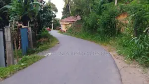 Lands for Sale in Ambathanna (Pujapitiya Road)
