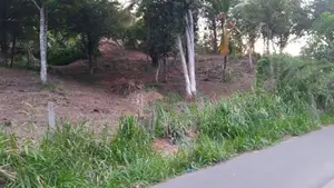 Lands for Sale in Ambathanna (Pujapitiya Road)