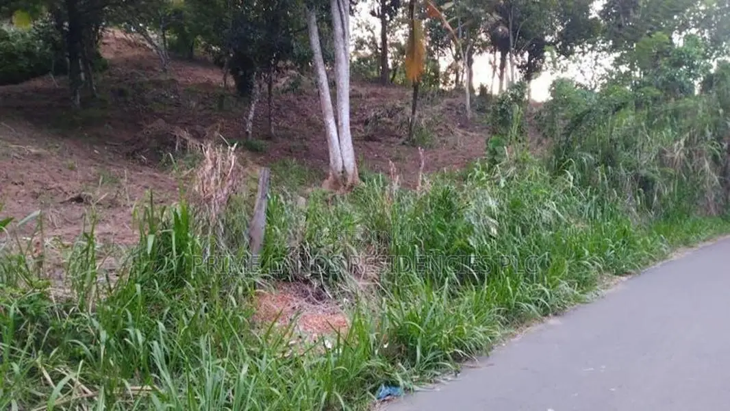 Lands for Sale in Ambathanna (Pujapitiya Road)