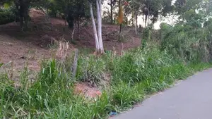 Lands for Sale in Ambathanna (Pujapitiya Road)