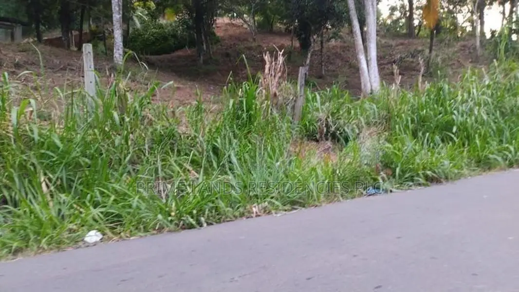 Lands for Sale in Ambathanna (Pujapitiya Road)