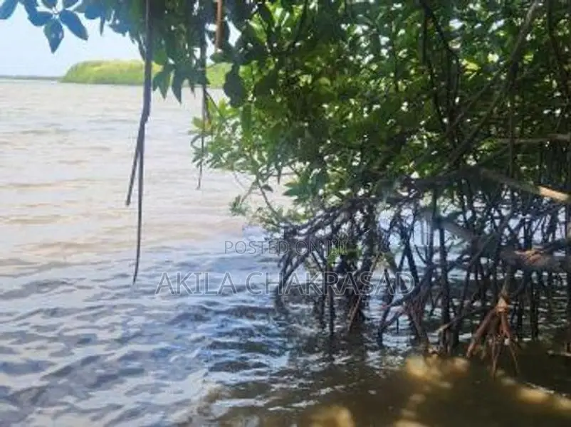 82 Perch Lagoon front land in Negombo Town