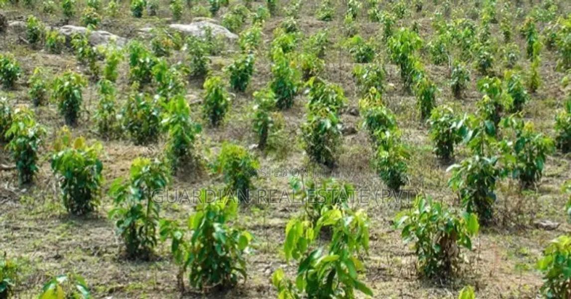 Valuable Land Plots For Sale In Horana Madurawala