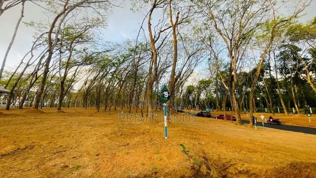 Homagama Beruketiya Land Plots for Sale